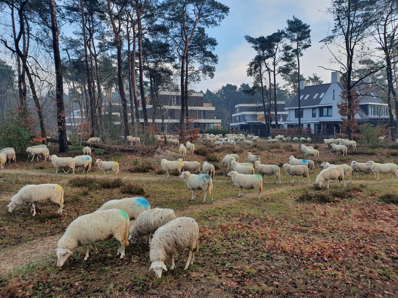Beaumont - Kerckebosch Zeist